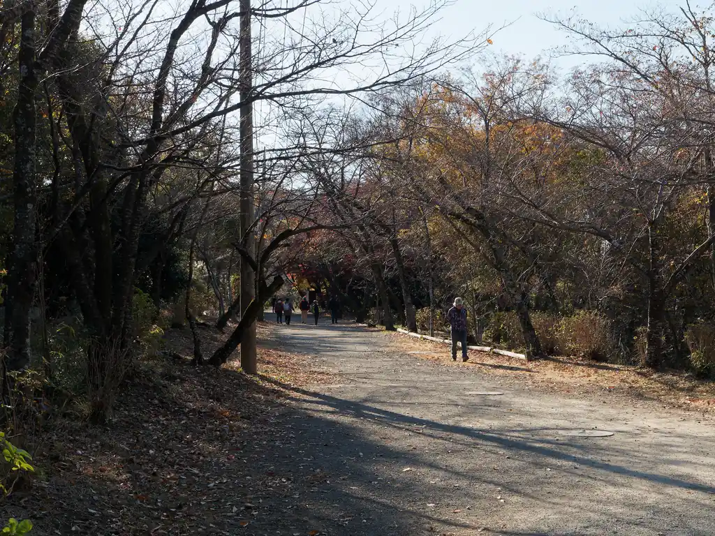 弘法山を降りて舗装路を歩いて権現山を目指す。
駐車場もあって、ハイカーより一般の人の方が多く感じるくらいだ。