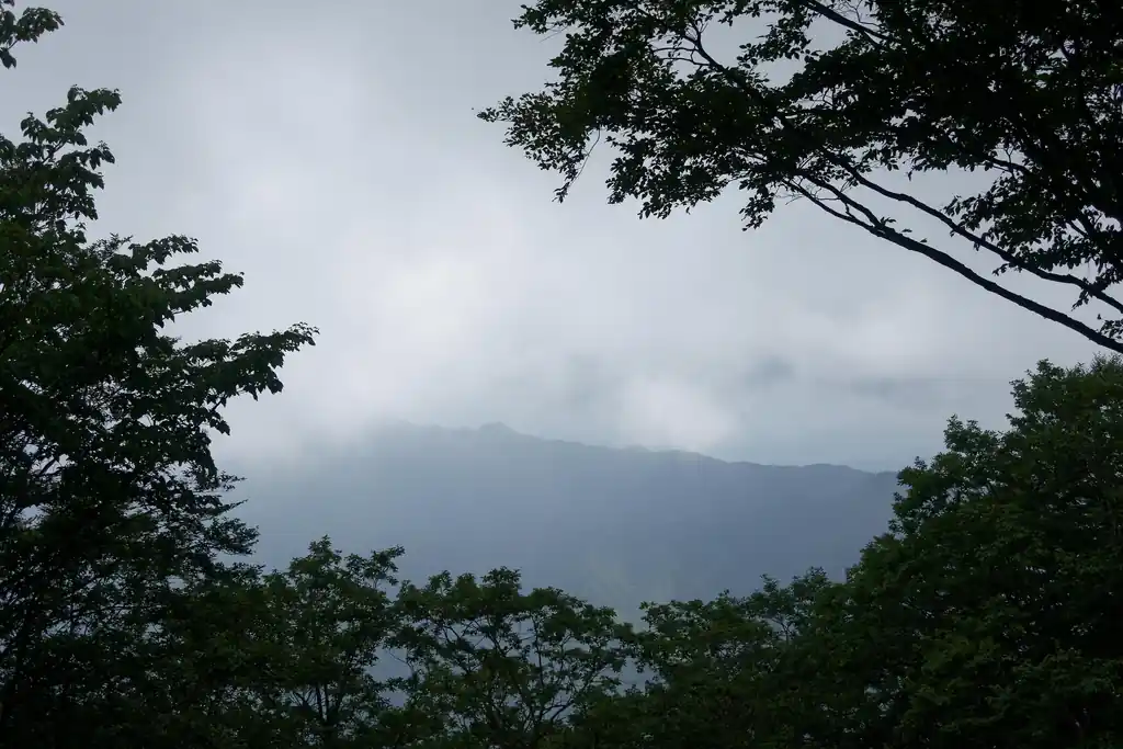 まだ疲れていないのでベンチで休まず歩いていきます。