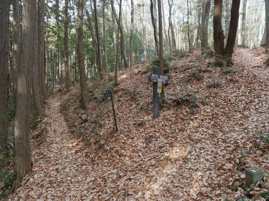 途中分岐に出ると何やら張り紙が…