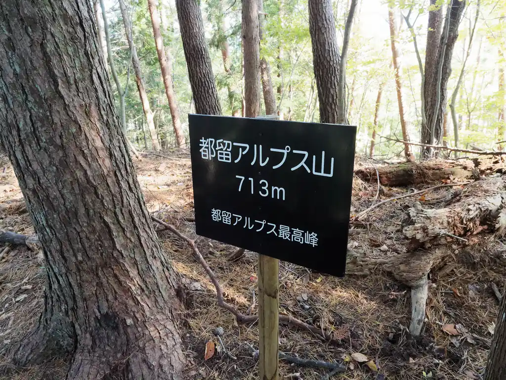 都留アルプス山。標高713mですが、気分的には標高300~400mってところ。
このあたりはベースの標高が高いので、山の標高が高くてもそんなに高いところに登った、という感じはしない。