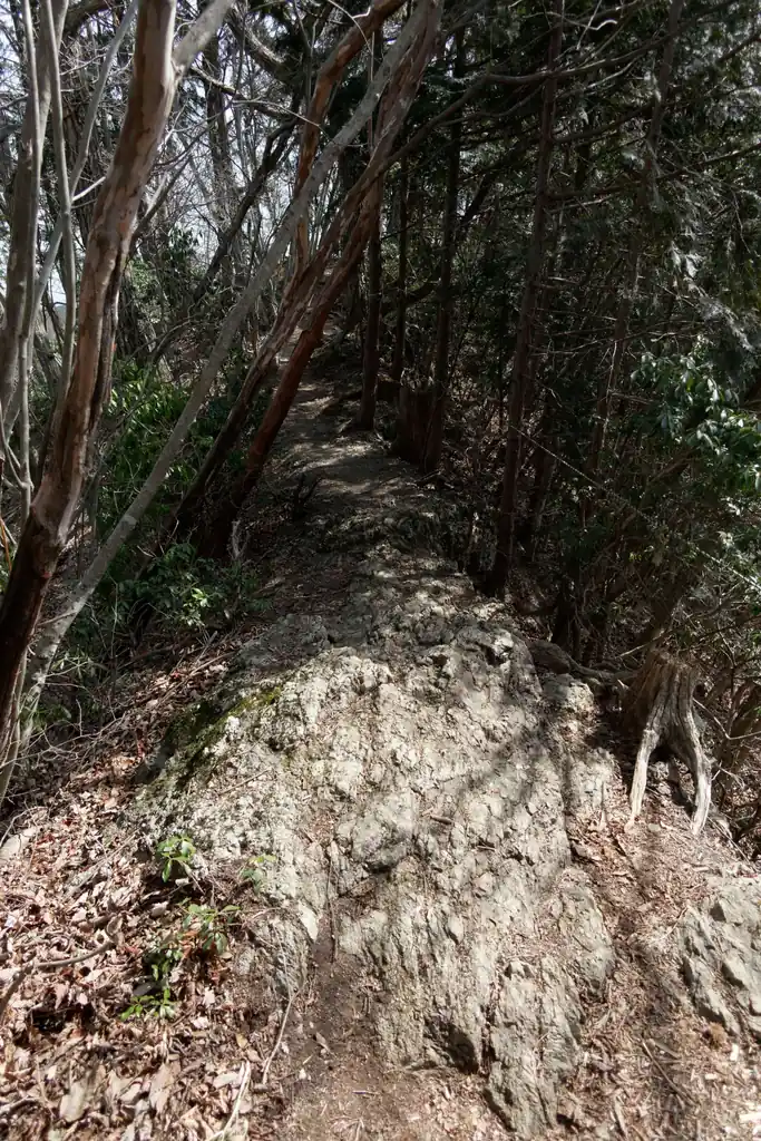 途中露岩の痩せ尾根もあり。