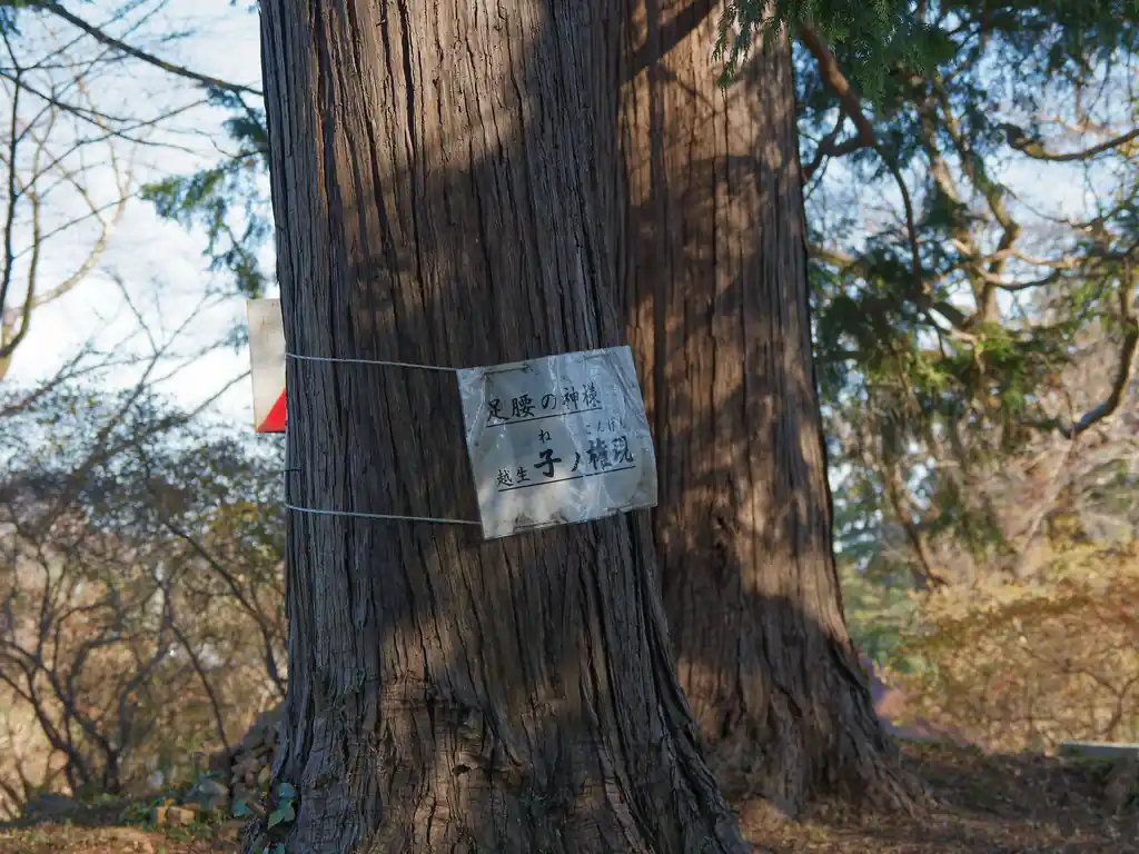 越生子の権現