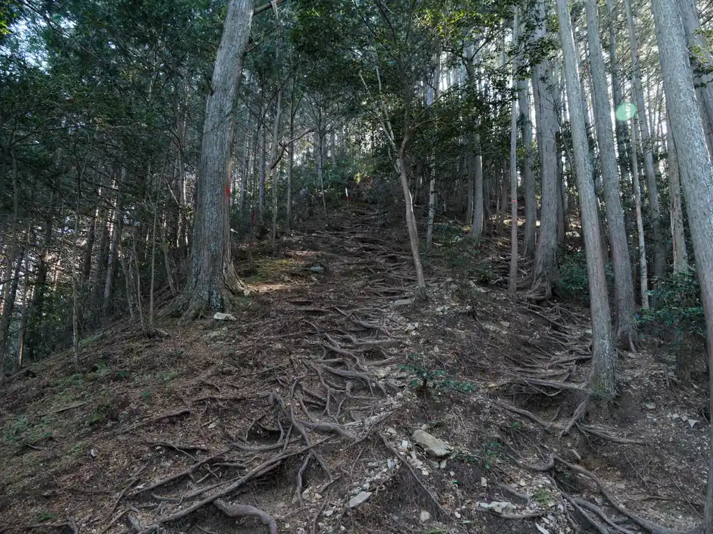 鎌北湖分岐からはなかなかきつい急坂となる。