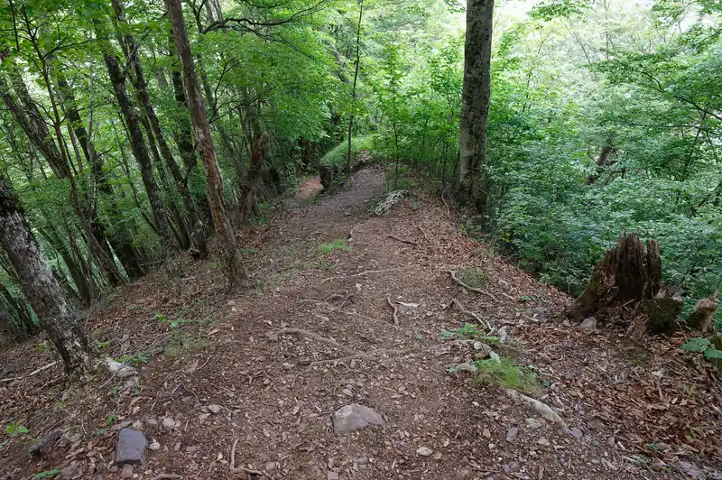 子持山から先は至って平和な道です。鞍部に向けて一気に標高を下げていきます。