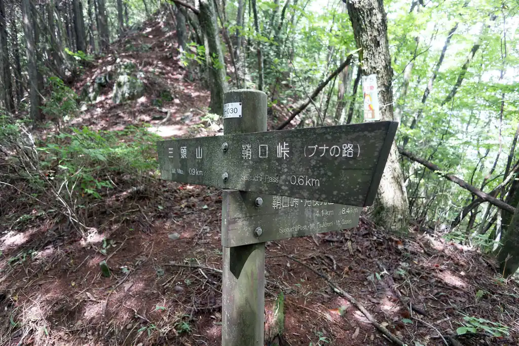 急登を登り終えるとあとは歩きやすいなだらかな道が続きます。

ココの登山道は本当に整備されていて、非常に歩きやすい。指導標も多いし、道幅も広かった記憶があります。