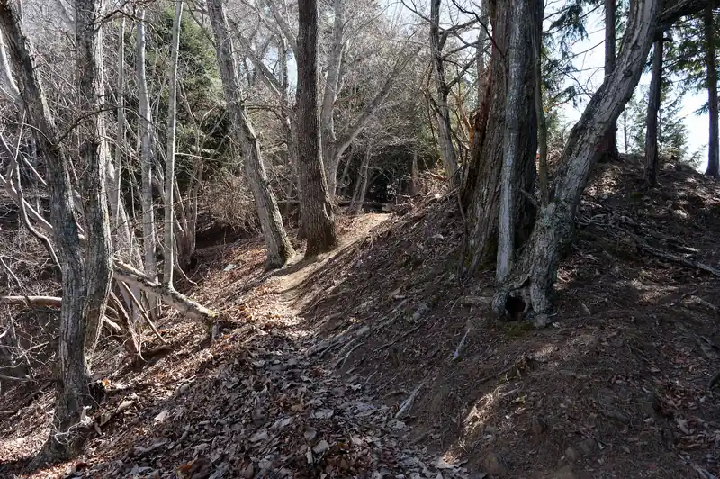 写真を撮って景色を眺めたあと、下っていきます。
次は棚横手山へ向かう。

甲州高尾山東峰以降は登山者とすれ違うようになります。