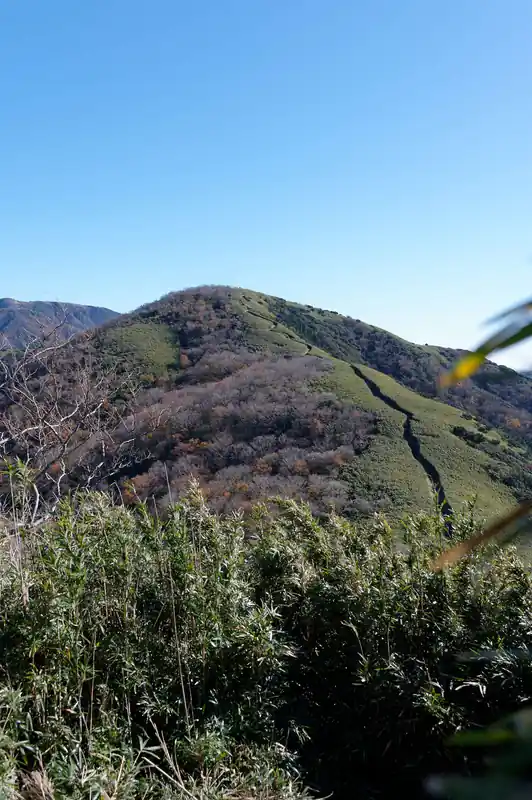 金時山山頂で休憩したら、明神ヶ岳を目指して出発。
明神ヶ岳までは地味に遠く、アップダウンもあるためそこそこ時間がかかる。
出発が予定より1時間遅れていることもあり、写真も撮らずに急いで向かいます。