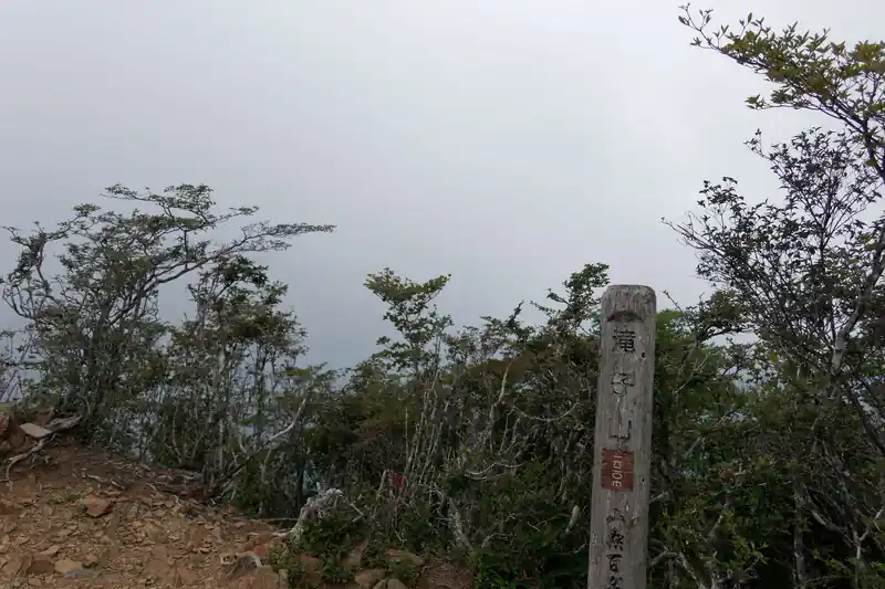 うーむ。本当は富士山が見えるはずなのだが。
何も見えません。