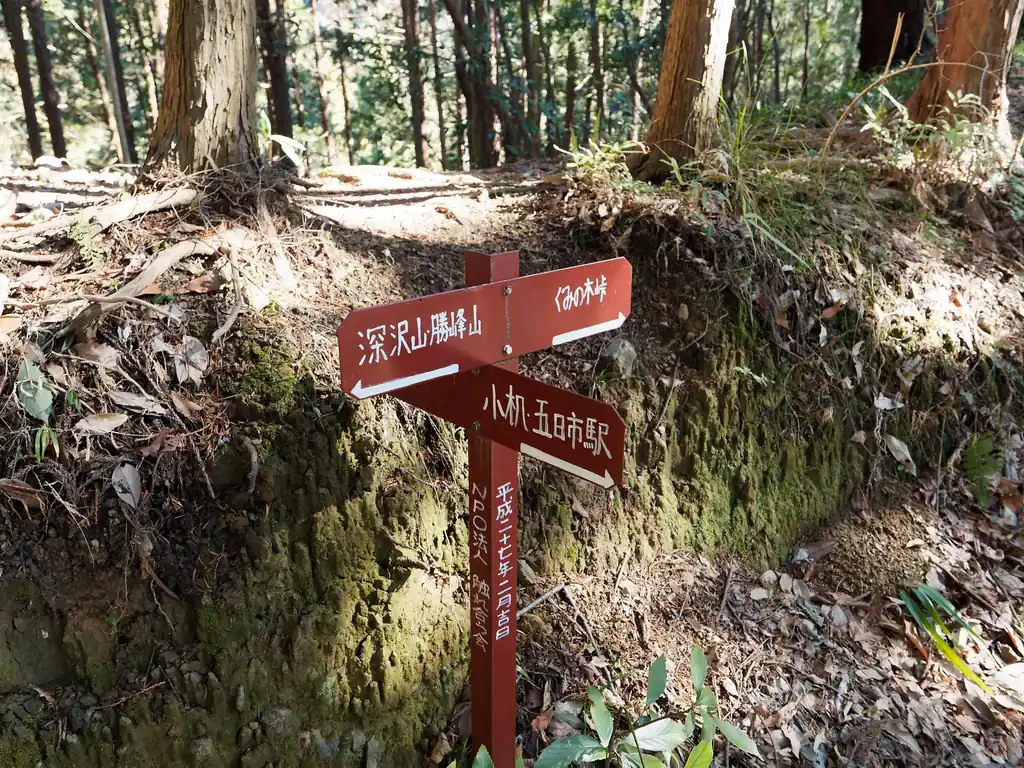 ためぐそ山から降りていって分岐へ。
ぐみの木峠というのが、謎看板がある登山口のこと。
これから深沢山・勝峰山へ向かう。

この登山道上には、写真の指導標に書かれているNPO法人触れ合う会が立てたものらしい、指導標がいくつか点在しており、これがかなり助かる。

ところで、小机・五日市駅方面に行くと恐らく、金玉水があるはず。