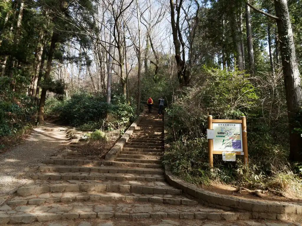 高尾山への最後の登り。ここでも階段。前の階段を歩いてきたばっかりなんで、この階段も結構きつい。これをショートカットして高尾山頂に登らずに高尾山登山道の五号路だか六号路だかに通じる道にいく巻き道もあります。

でもせっかくここまで来たなら山頂に行きたい！というわけで頑張って登りました。