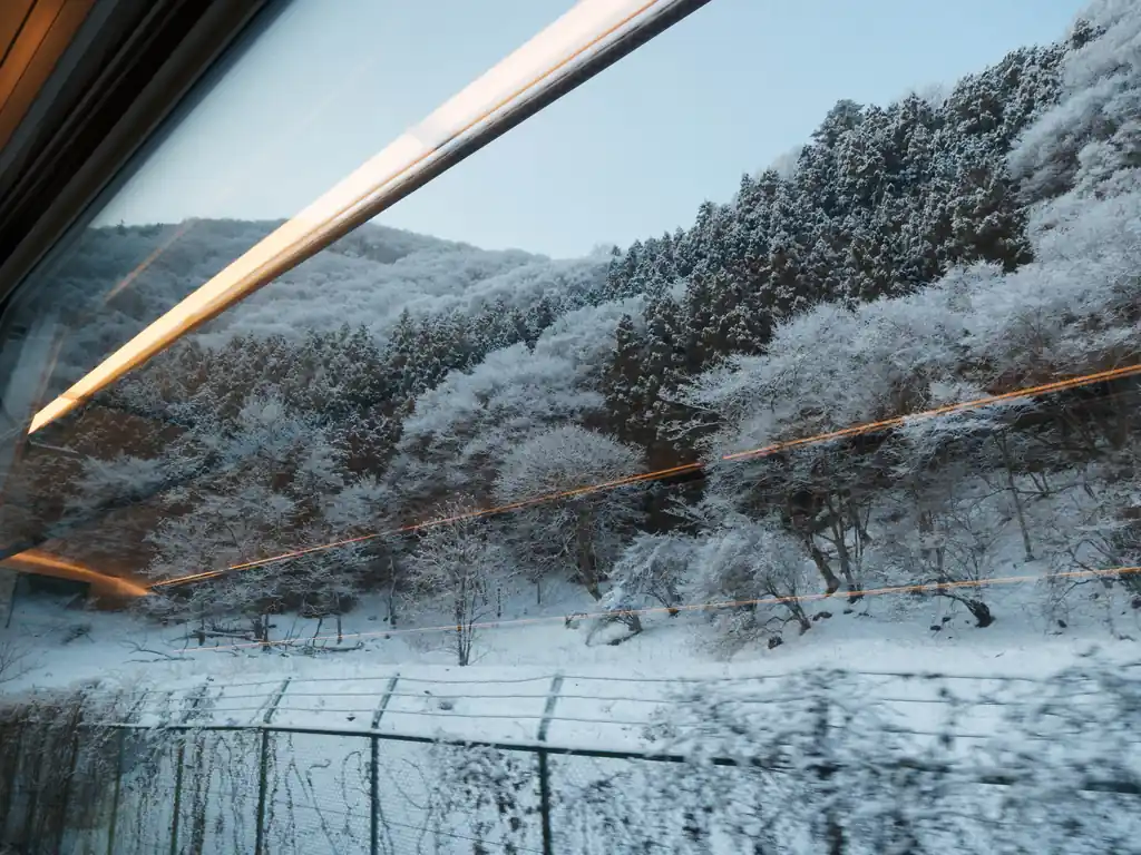 秩父は前日に降雪があったらしく、大丈夫かな～チェーンスパイク必要なくらい積もってたら嫌だな～と思ったものの、まあ宝登山だしな…と思い、所沢で特急ラビューに乗り込みました。

飯能駅で折り返し、秩父方面に進むと徐々に雪が出てくる。正丸トンネルを抜けると、そこは一面銀世界でした。

やっぱり正丸トンネルの前後で気候変わるよなあ、と改めて実感。