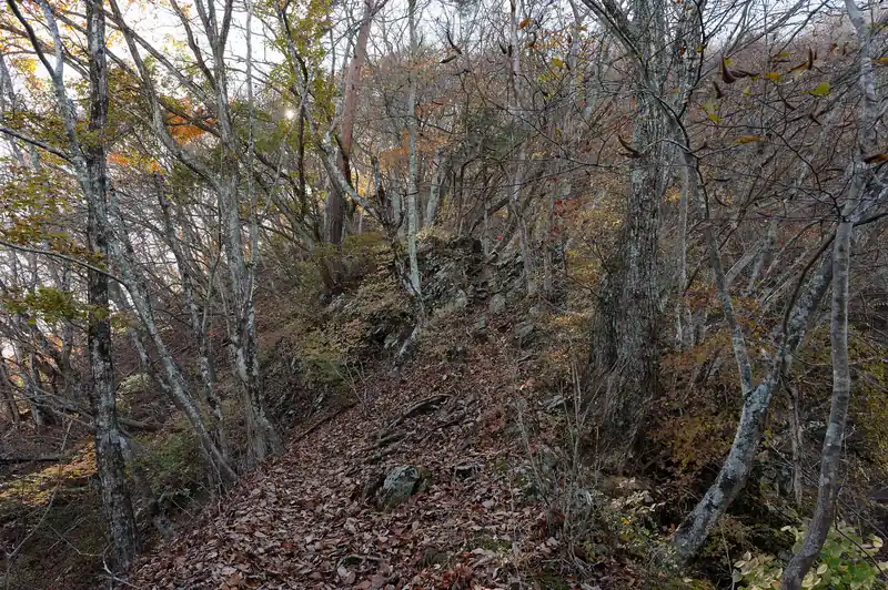 岩場っぽくなってきた。
ただ岩場区間は短いのと、登りなら問題ないかなと思います。
急登なんできついけど…まあどこの山でも急登はきついしさ…。