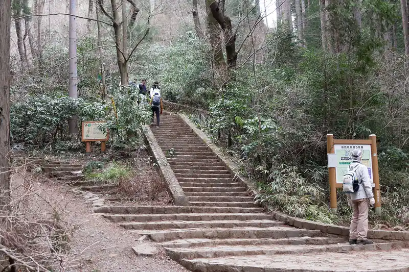 最後の階段が待っていたのであった。
この階段が曲者。しかし登らないわけにはいかない。
