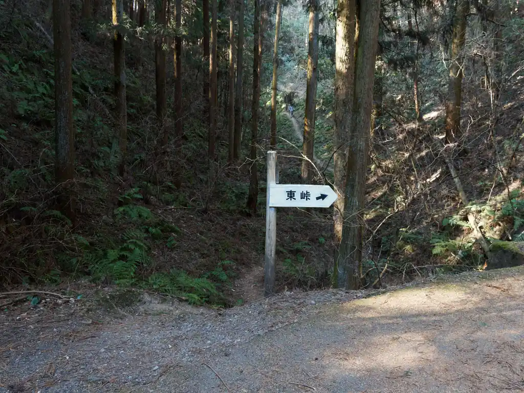 この道から出てきて、ちょっとだけ道路を歩いて東峠に向かいます。