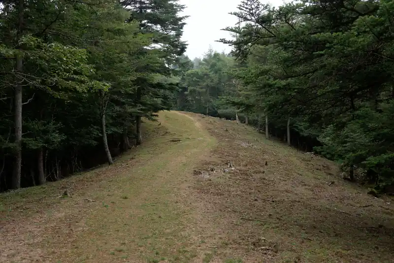 気持ちの良い防火帯の尾根です。