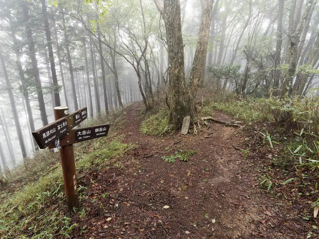 鋸山方面への分岐。大岳山を目指す場合は右側。