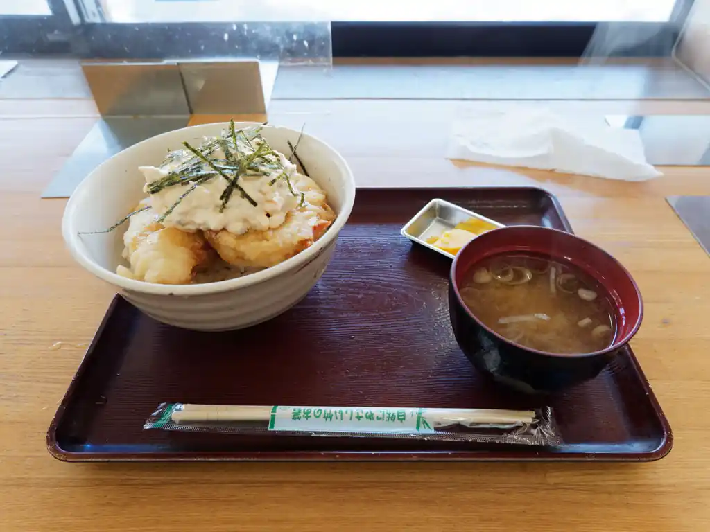 下山後はいつもの道の駅の食堂で昼食。

しゃくしなタルタルとり天丼。おいしい。なんだかんだ毎回下山後はここでご飯食べてしまう。安くて美味しいし、速い。
