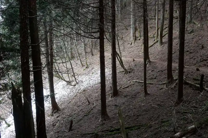 振り返って。
斜面には雪がちょっと残っている。