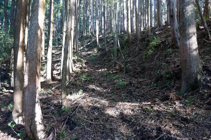 なんとなく踏み跡っぽいものを歩いていく。
上の方からギーコギーコと扉が開閉するような音がしたんですが、そんな扉は結局見当たらず、なんだったのか謎です。