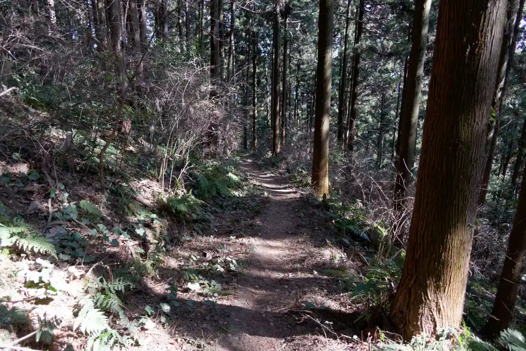 疲れているので早々に下山です。

個人的なオススメ下山ルートは、根っこ山を通り過ぎた後に、坂を登って西高取山に出て、景色を楽しんだ後、世界無名戦士の墓に出るルートなのですが、今回は疲れていることもあり、楽そうな分岐を選んで歩いていったところ、越生神社横に出る道になりました。