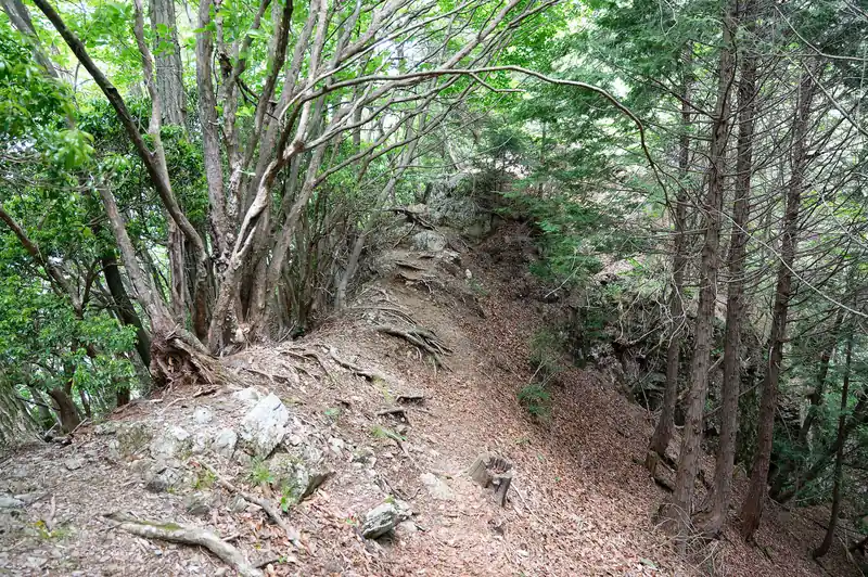 それを超えて再び岩っぽい道へ。このあたりは痩せ尾根です。