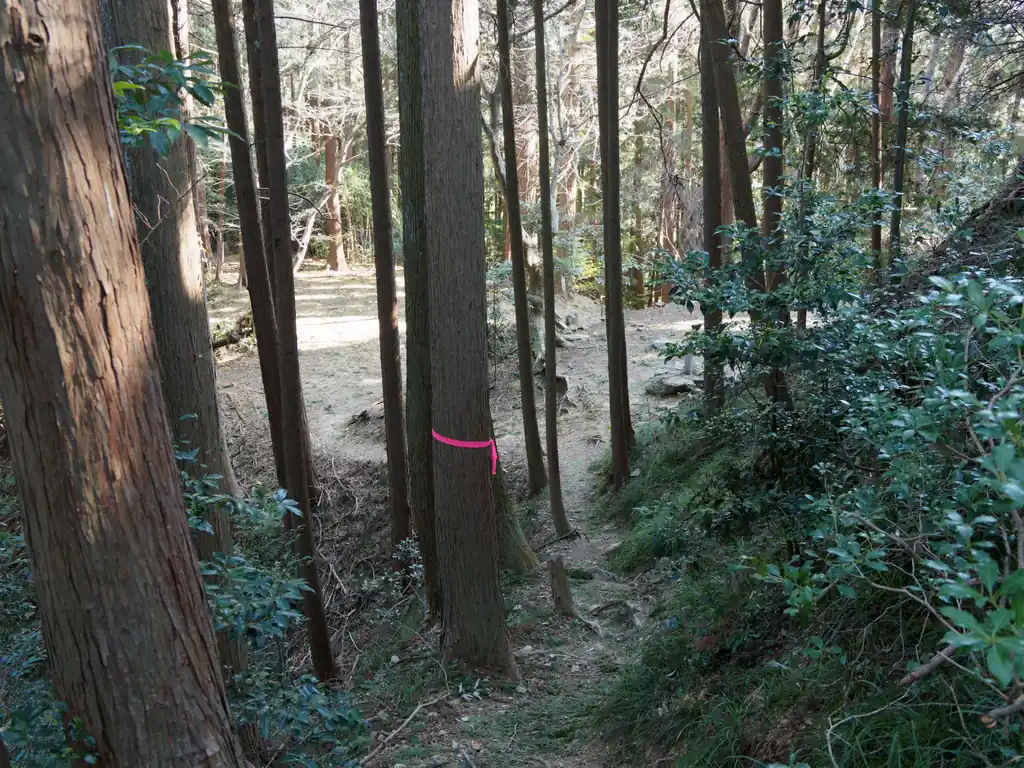 こっちは神社跡地。

東吾野駅に下る時は、こちらの広場から下山道が繋がっています。
