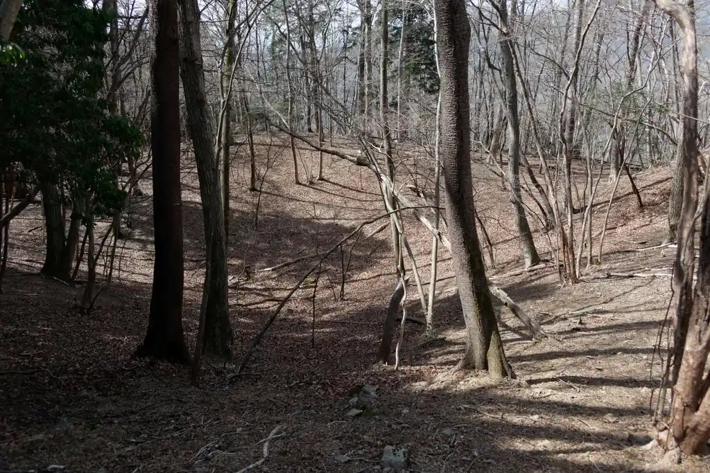 坂川ノ丸のあたりに少し平坦地があり。