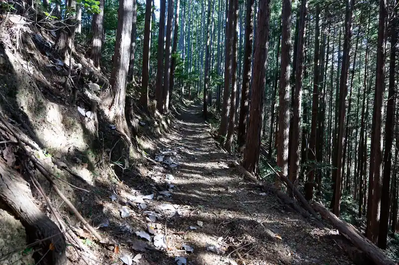 とりあえず噂通り歩きやすい道で一安心。