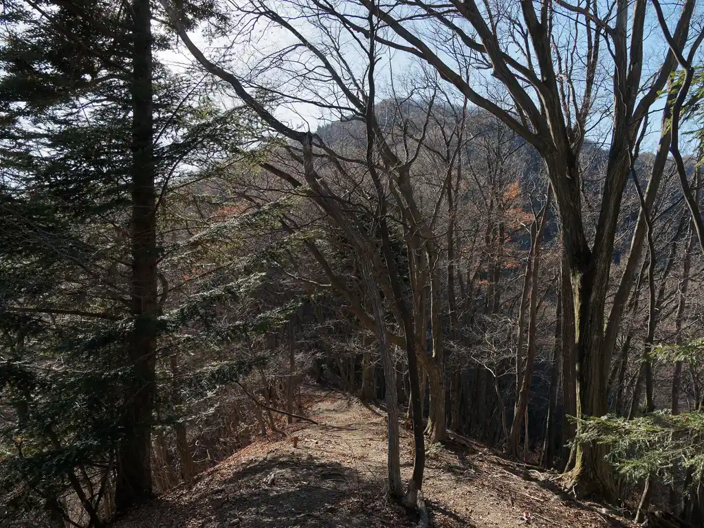 徐々に扇山が大きくなってくる。