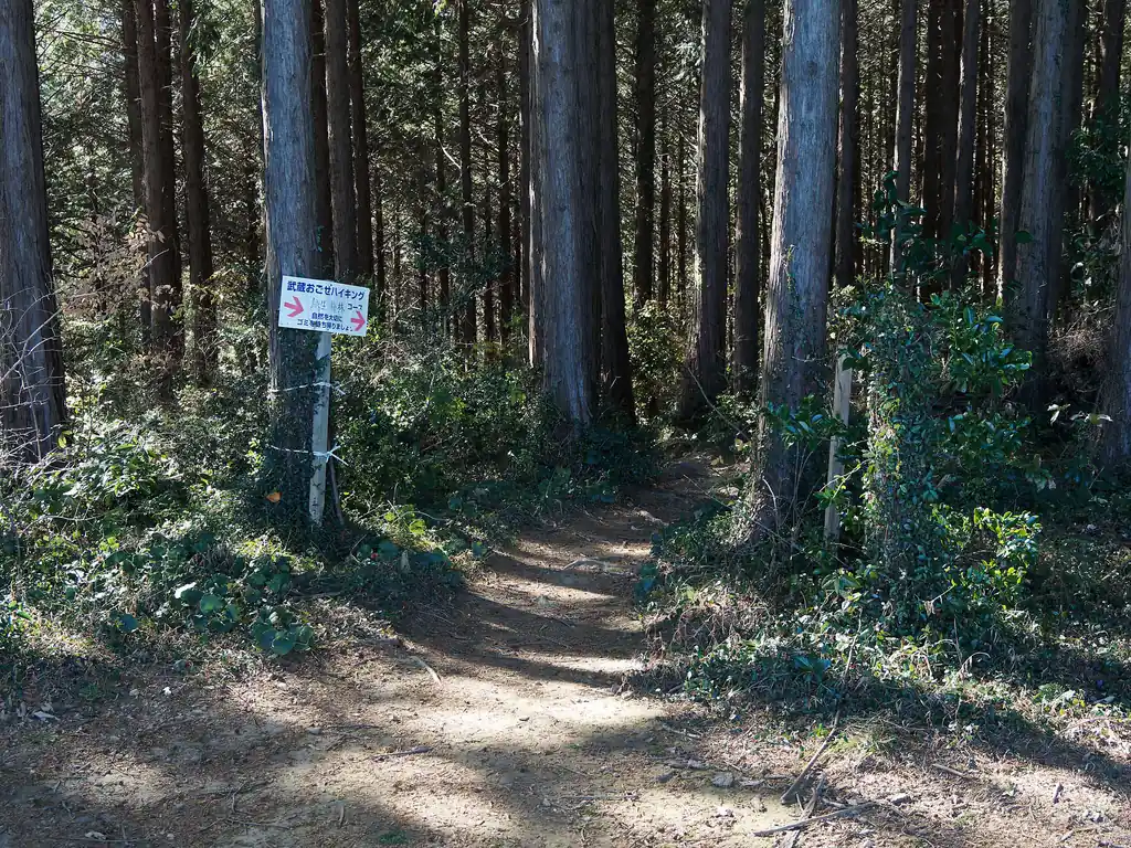 ここから出てきてすぐそこが大高取山の山頂。