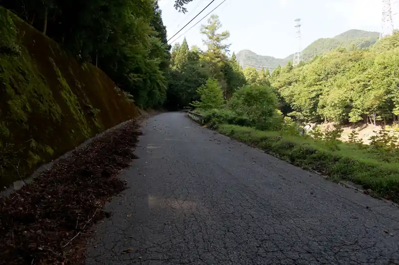 緩やかに登っていきます。
まあこうなるだろうな、とは思っていたんですが、ここまで人がいないとは。