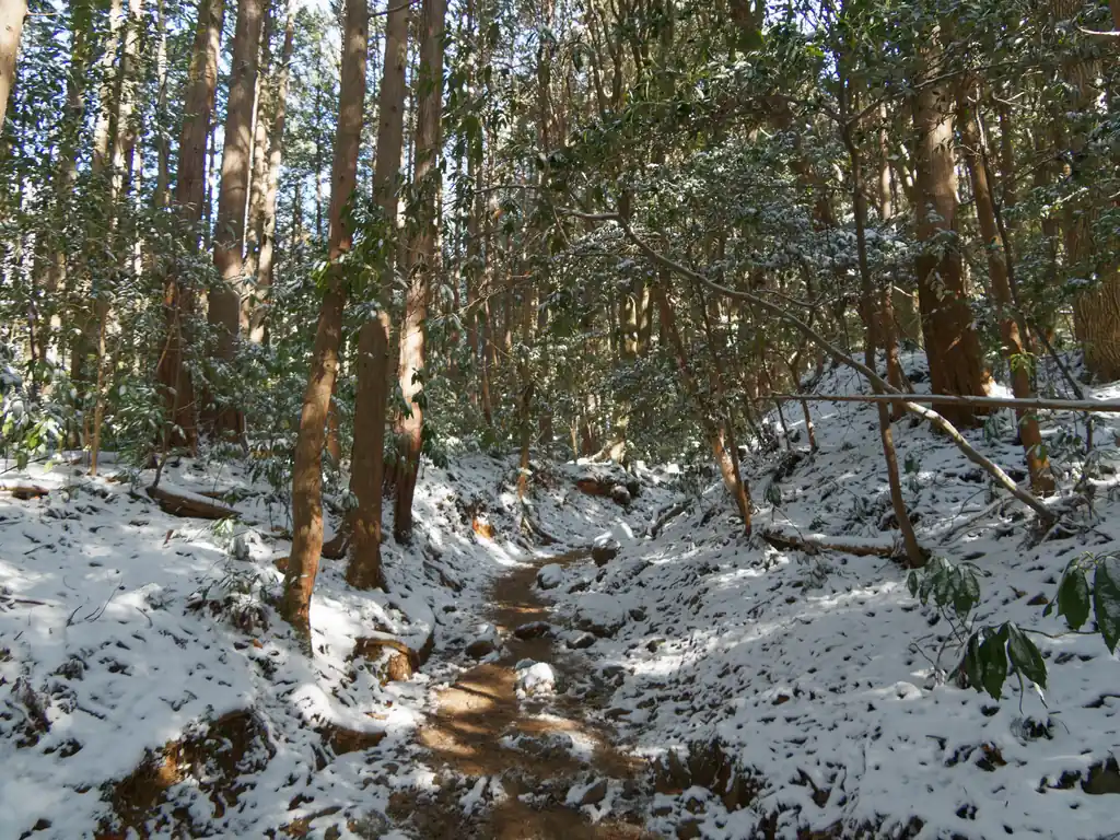 筑波山は特に人が多いとは聞いていたが、常に前後に誰かいる状態。
特にこの御幸ヶ原コースは人気らしく、登山者以外の観光客も多く登っていた。
途中、なぜかキロロのベストフレンドを大音量で流しながら歩いている集団に出会い、ちょっとゲンナリ。

マイペースに静かな山道を歩きたい方は他のコースを考えたほうが良いと思う。
