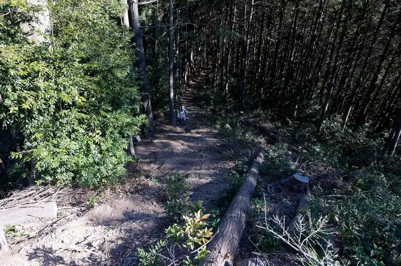 面白い道でしたが距離が短いのが惜しいところ。