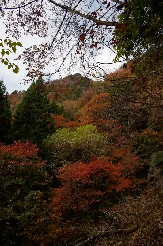 御嶽神社横を抜けて大岳山へ歩いていきます。
