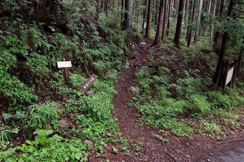ここから登山道へ。

ところで、もう一個北側に、笠山の手前に出る登山道があり、そちらも歩いたことはあるんですが、雰囲気的には今回歩いた道もそちらも似たような感じ。
全体を通して危険箇所はなく、歩きやすい道が続く。
