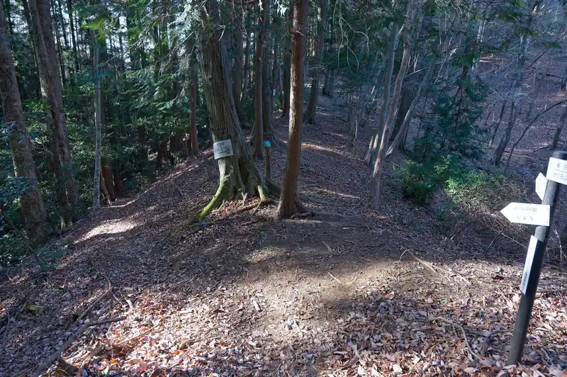 写真左側が丸屋の頂。中央右へ登る道は小沢峠だったかな。
