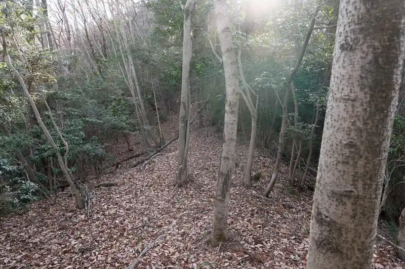 このあたりは雑木林で明るい。