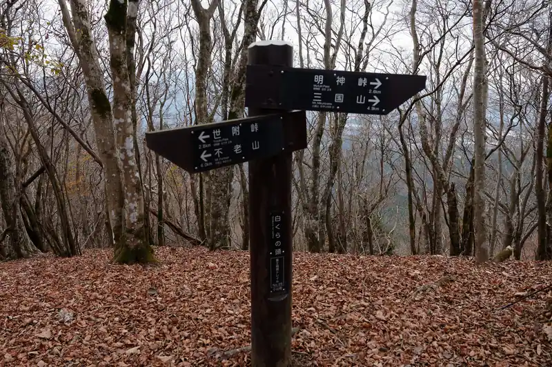 というわけで白くらの頭に到着。
周りの木は全部落葉してしまっていて、道が若干狭く、両側急斜面とあって私が苦手な雰囲気です。
頼む、痩せ尾根出てこないでくれ！