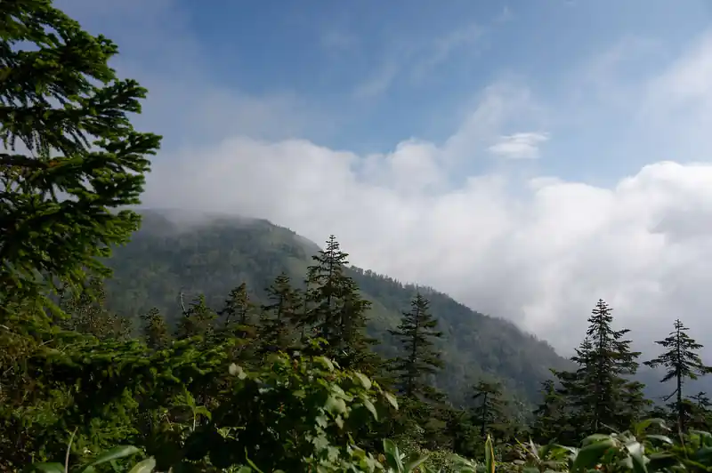 東隣の尾根が見える。