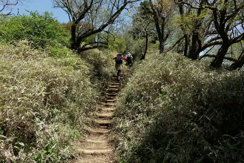 丹沢山手前の登り返し。これがキツイ。