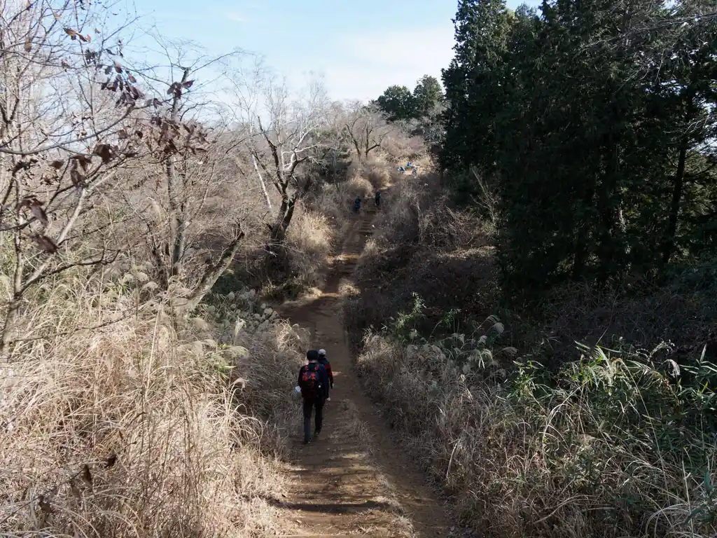 見晴らしポイントの先の道は、この左の分岐に繋がるような気もするんだけど…。