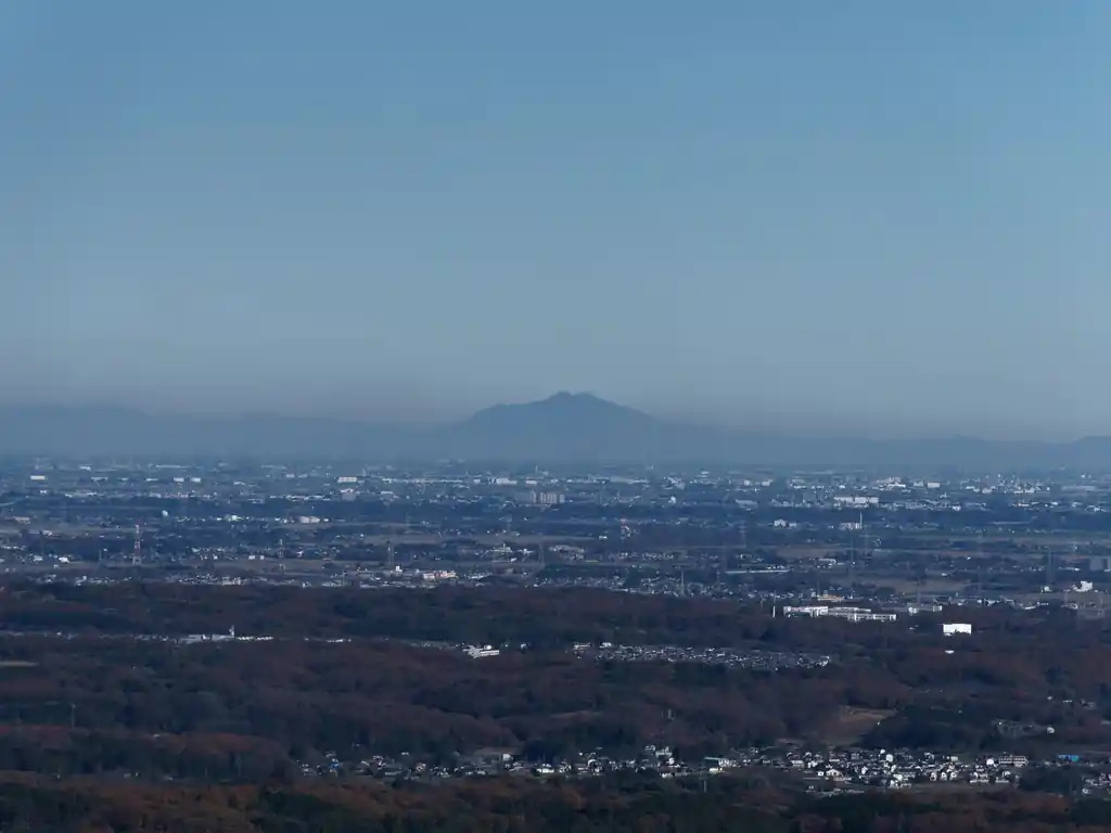 奥に見えるのはおそらく筑波山だと思うのだが…どうだろうか。たぶんそうだと思うんだけどな～