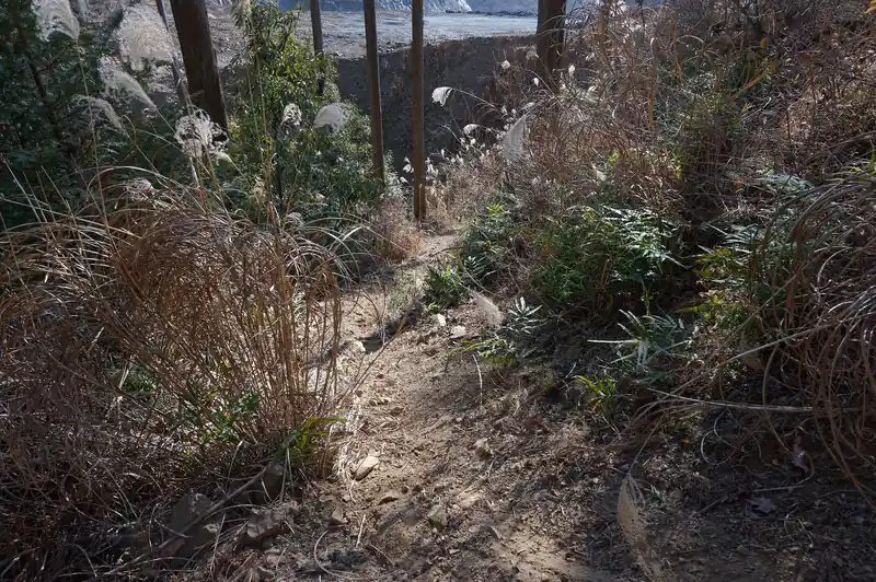 踏み跡を辿っていくと、沢沿いに降りていきました。