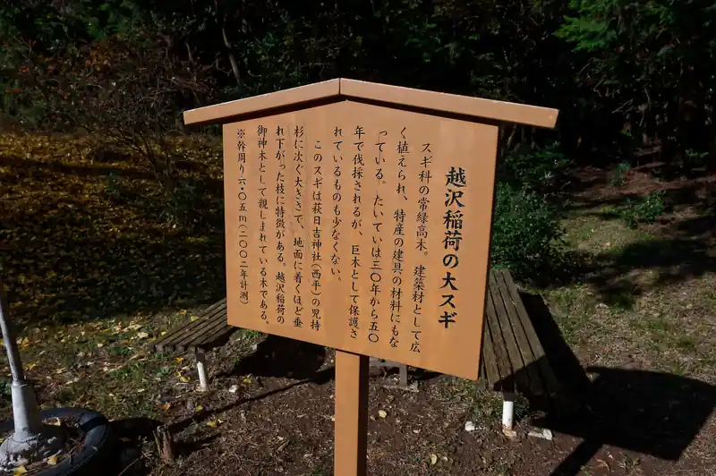 大スギ。これもまた名所らしい。
