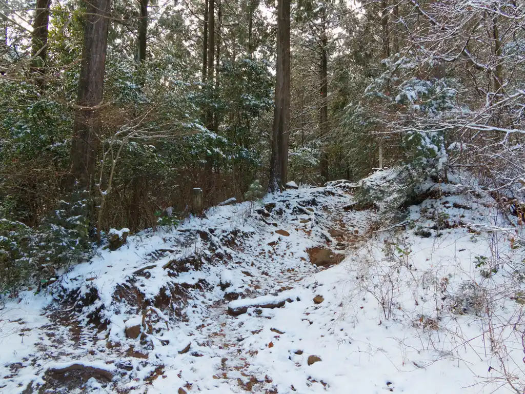 長い林道歩きが終わって、ここから登山道へ。
このすぐ先で真っ直ぐ登っていく道と、左に逸れる道に分かれているように見えたが、左に逸れる道を選択。真っ直ぐ進む道はどこへ繋がるのかはよくわからない。
