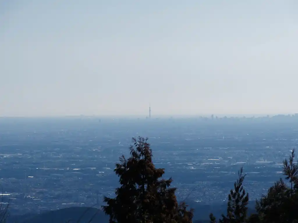 この日は天気がよく、空気も比較的澄んでいたのでスカイツリーがよく見える。