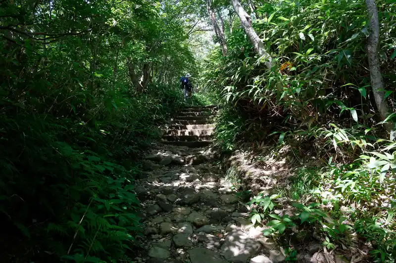 相変わらず歩きやすい道が続く。
それほど急なところもなく、ゆるゆると標高をあげていきます。最初は樹林帯でしたが、登っていくと視界が開ける。