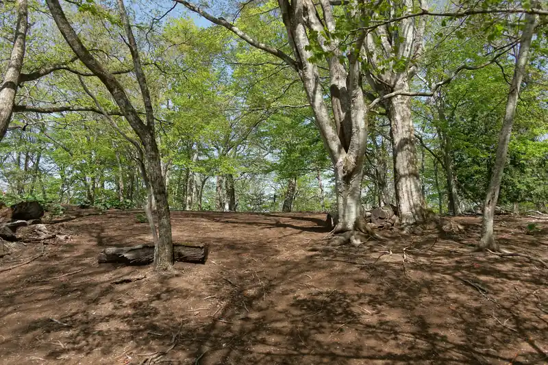 トラバース道が終わり、緩やかになった道を登っていくと倉戸山山頂が見えてきた。
登り始めてから約1時間ほどで到着。思いの外良いペースである。
