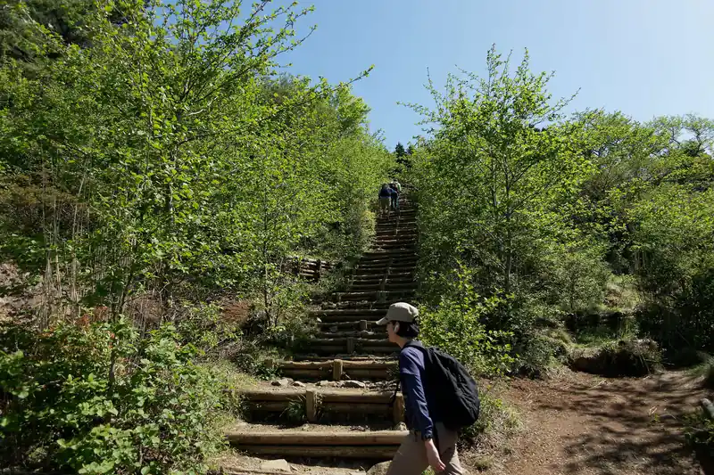 この階段を登りきれば花立山荘だ…！とはやる気持ちを抑えつつ登る。