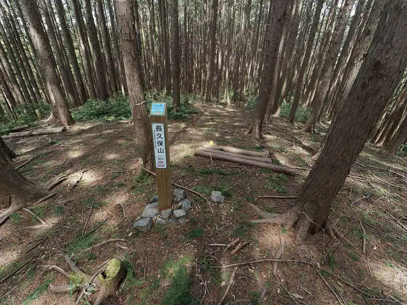 長久保山に到着。いい加減お腹が空いたので、ここでお昼休憩。近くにあった倒木に腰かけてパンを齧る。